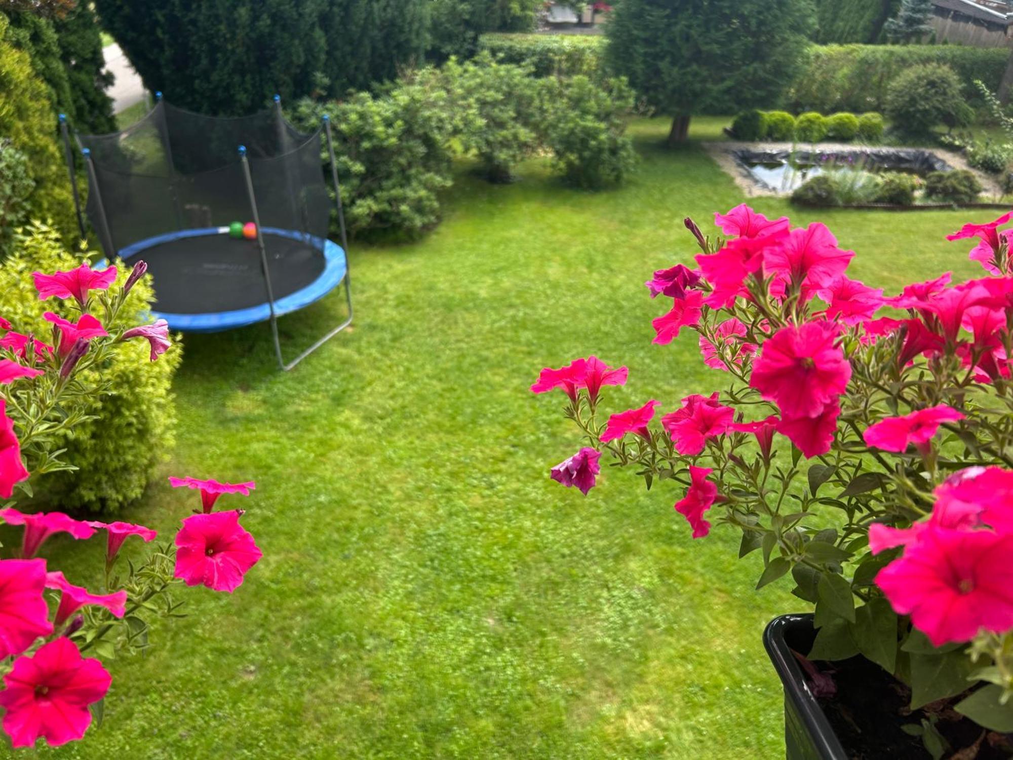 Apartment Dolce Mszana Dolna